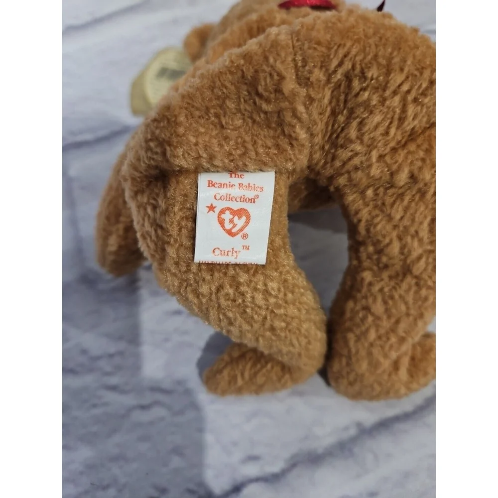 Ty Beanie Baby Curly The Bear Plush Toy Retired